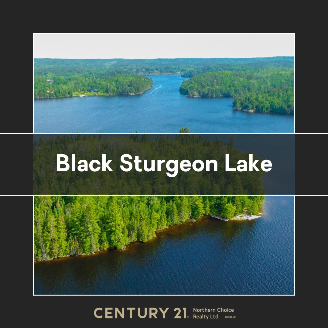 Black Sturgeon Lake Real Estate